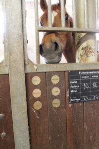 0615 plaketten