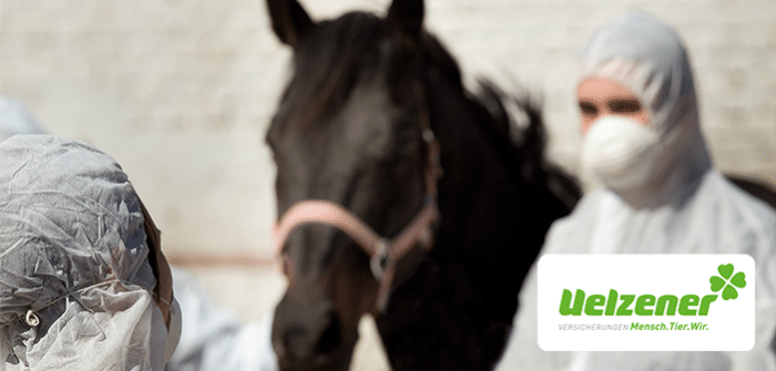 Gefahr Herpesinfektion: Mit welchen Maßnahmen können sich Pensionsstallbetreiber schützen?