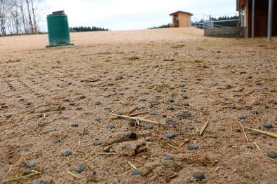 Offenstall bauen: die Bodenbefestigung