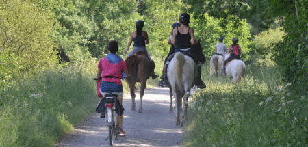 Radfahrer überholt Reiter