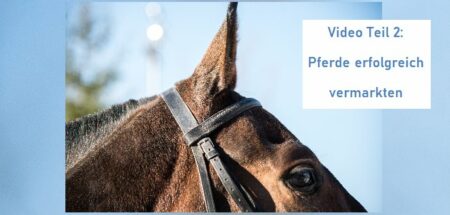 Geschützt: Video Teil 2: Pferde erfolgreich vermarkten Foto: liukovmaksym/adobe.stock.com