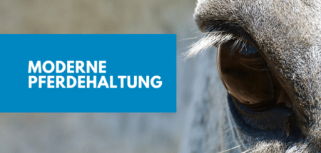 Moderne Pferdehaltung