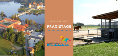 Praxistage Dresden