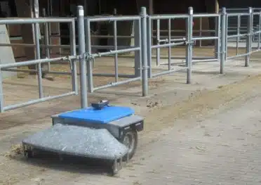Entmistungsroboter Pferdestall