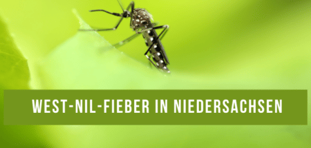 West-Nil-Fieber bei Pferd in Niedersachsen