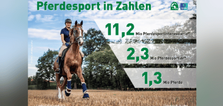 Ipsos-Studie Zahlen Pferdehaltung