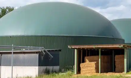 Pferdemist in Biogasanlage