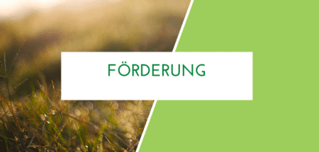 Investitionsprogramm Landwirtschaft Förderprogramm