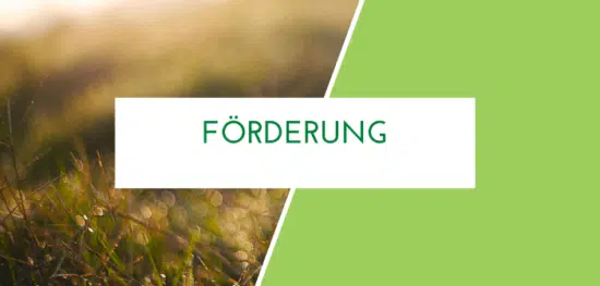 Investitionsprogramm Landwirtschaft Förderprogramm