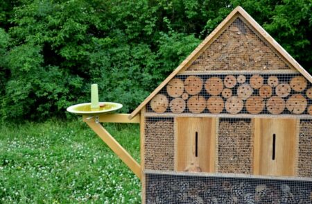 Insektenhotel und Blühwiese