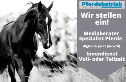 Stellenanzeige Mediaberate