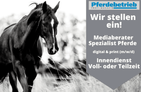 Stellenanzeige Mediaberate