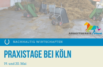 Praxistage