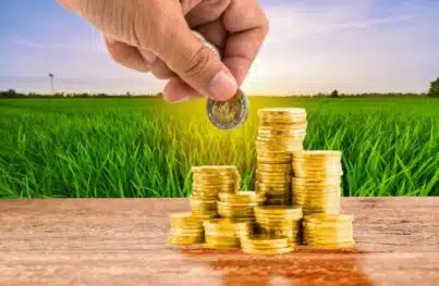 Geld Landwritschaftliche Kulisse