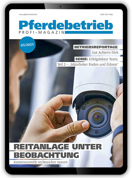 Jahresabo – ePaper