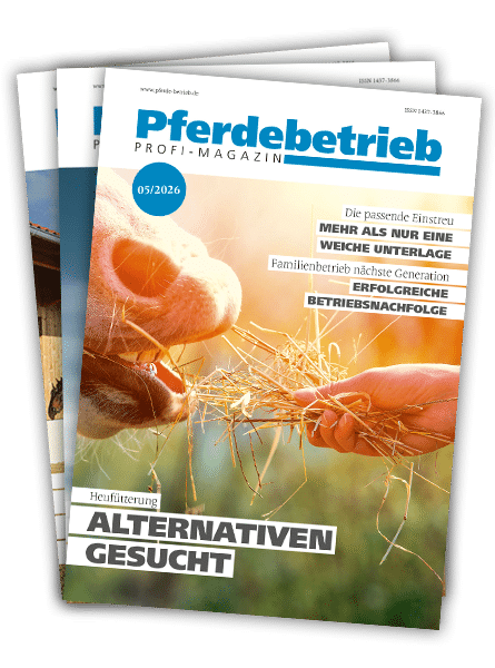 Mini-Serie "Betriebsübernahme im Fokus"