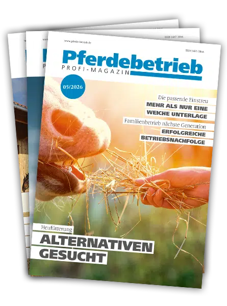 Mini-Serie "Betriebsübernahme im Fokus"