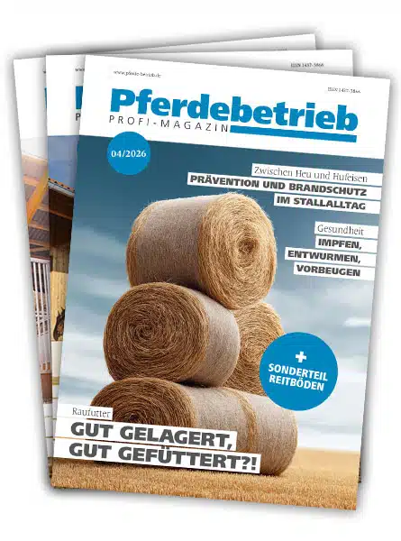 Mini-Serie "Betriebsübernahme im Fokus"