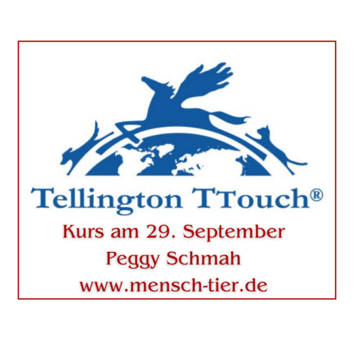 TTouch Kurs für Pferde am 29. Sept. 2024 in 86494 Emersacker