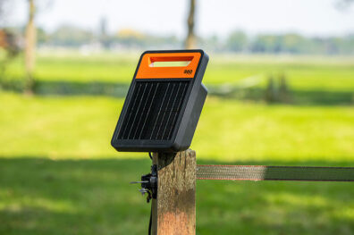 Das Gallagher S6 Solargerät mit Li-Akku für Weidezäune ist auf einem Weide-Holzzaunpfahl befestigt, umgeben von grünem Feld im Hintergrund.