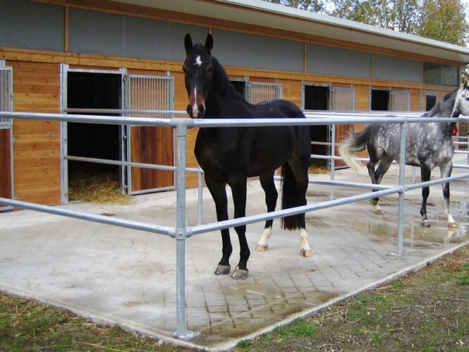 Stallklima: Zugluft vermeiden. Foto: Sulzberger