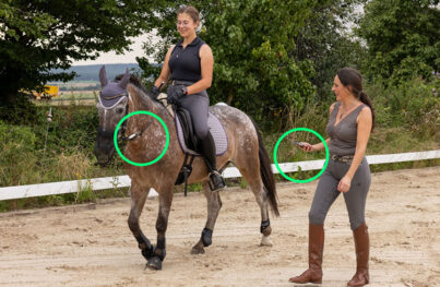 TensionCARE® Halle 19, Stand V22