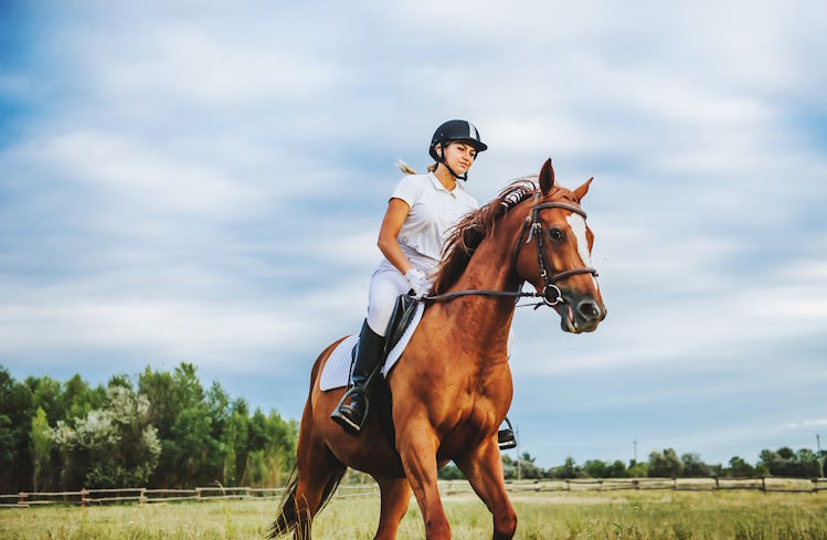 Gericht bestätigt Entzug der Betriebserlaubnis für Reitbetrieb