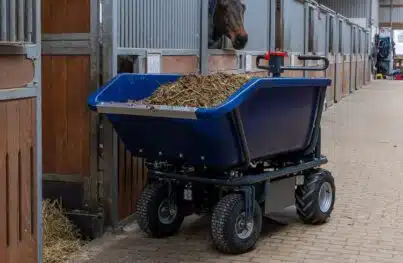 Verlosung Pferd Bodensee 2026