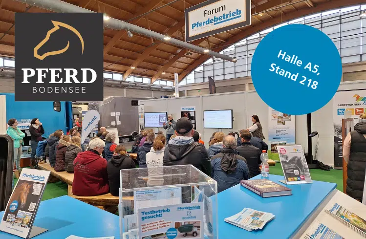 Pferdebetrieb auf der Pferd Bodensee Bild: Pferdebetrieb