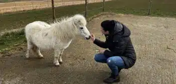 Arbeitskreisleiterin Ramona Braun