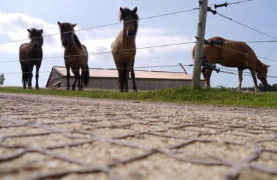 Schluss mit Schlamm: Stabile Reitplatzböden von ecora