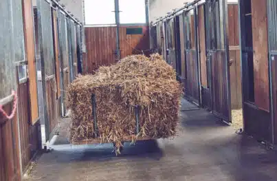 Ihr kompetenter Partner für Gummi-Bodenbeläge im Stall