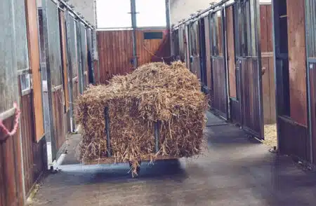 Ihr kompetenter Partner für Gummi-Bodenbeläge im Stall