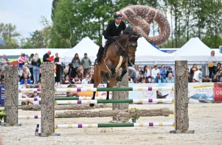 Pferd Wels: Vier Tage voller Pferdesport, Shows und Emotionen