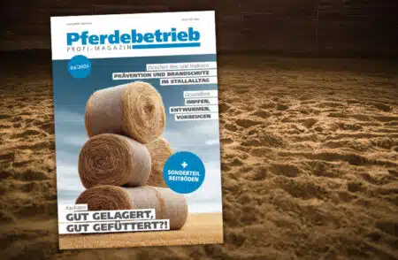 eBook: Sonderteil Reitböden