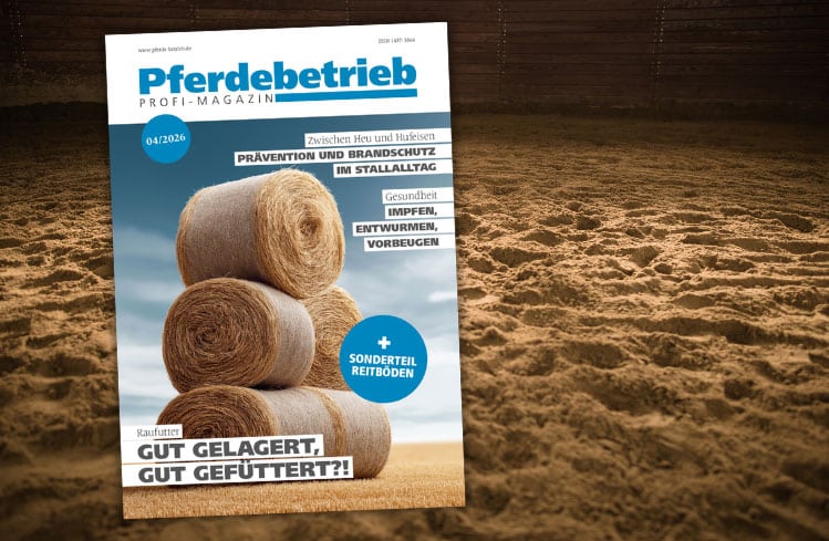 eBook: Sonderteil Reitböden