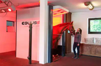 EQUUSIR BEST-BOX: Neue Möglichkeiten für Ihren Pferdebetrieb