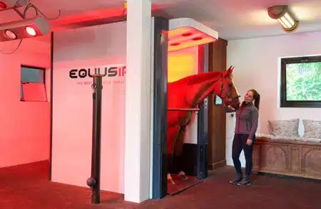 EQUUSIR BEST-BOX: Neue Möglichkeiten für Ihren Pferdebetrieb