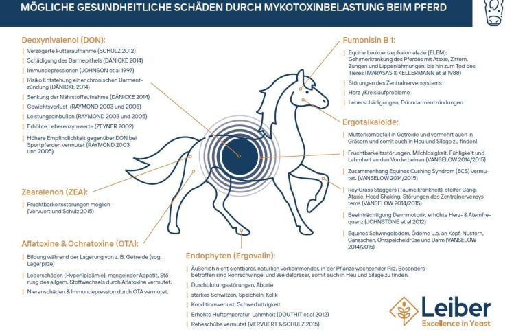 Abb. 1: Überblick der häufigsten Mykotoxine, Alkaloide und Endophyten und deren Schadwirkungen beim Pferd. Literatur auf Anfrage beim Autor erhältlich!